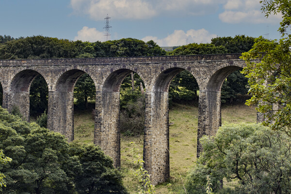 Thornton Viaduct West Yorkshire 04 Picture Board by Glen Allen