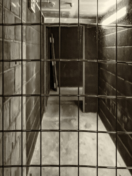 Caged Picture Board by Glen Allen