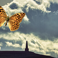 Buy canvas prints of Papillon over Studley Pike by Glen Allen