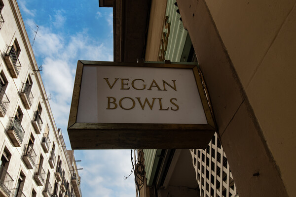 Vegan Bowls Picture Board by Glen Allen