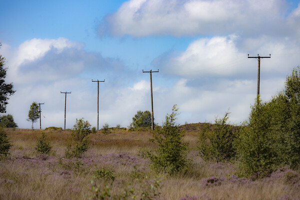 Power Lines over Norland Moor Picture Board by Glen Allen
