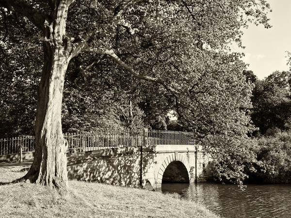 Bridge at the Upper Lake Picture Board by Glen Allen