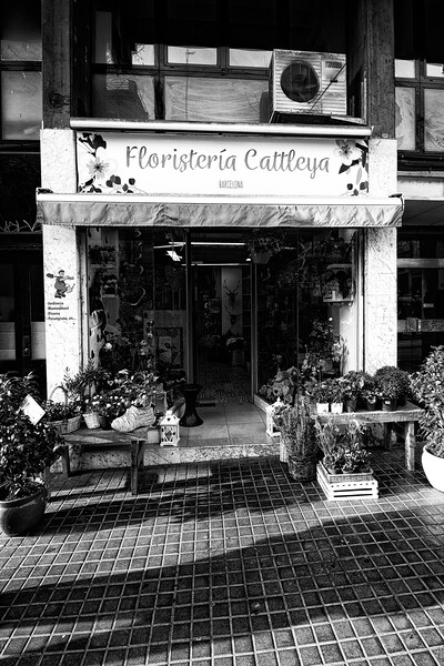 Floristería Cattleya Barcelona  Picture Board by Glen Allen