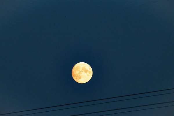 Moonrise Picture Board by Glen Allen
