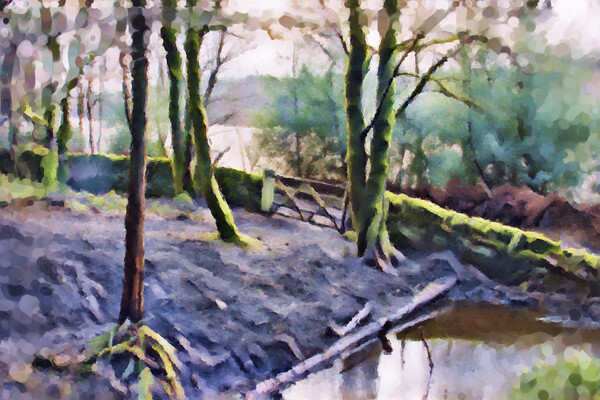 Ogden Water Woodland - Acrylic Painting Effect Picture Board by Glen Allen