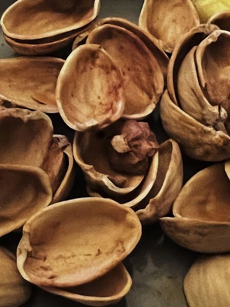 Pistachio Shells Picture Board by Glen Allen