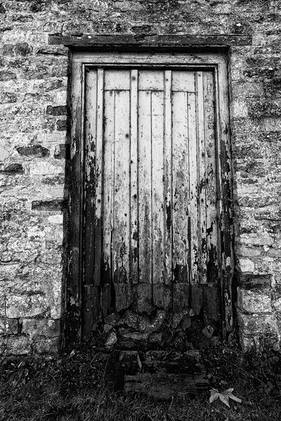 Rotting Door Picture Board by Glen Allen