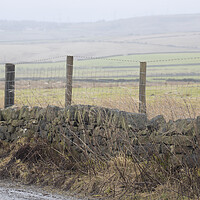 Buy canvas prints of Dry Stone Wall on a mIsty Morning  by Glen Allen