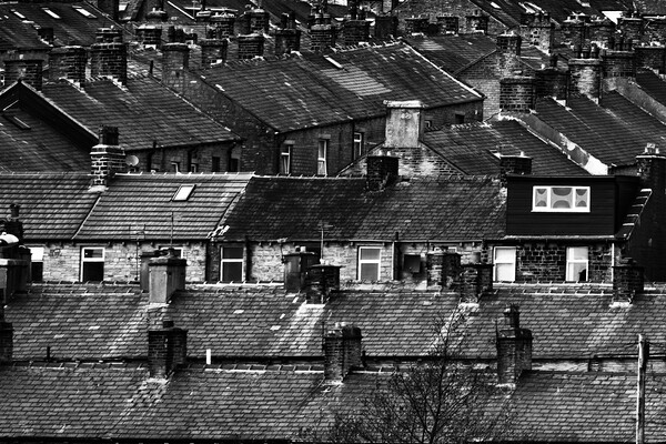 Halifax Roofs - Mono Picture Board by Glen Allen