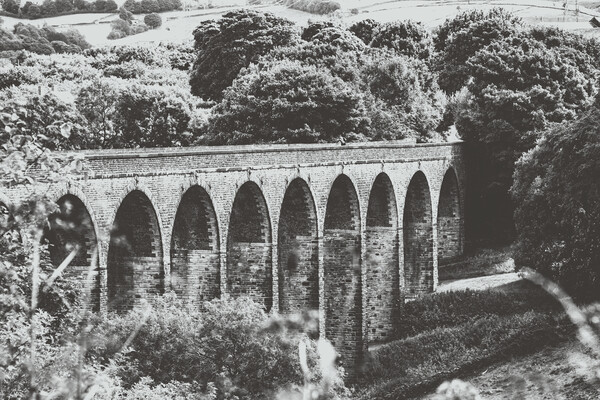 Thornton Viaduct - Olde Worlde Mono Picture Board by Glen Allen