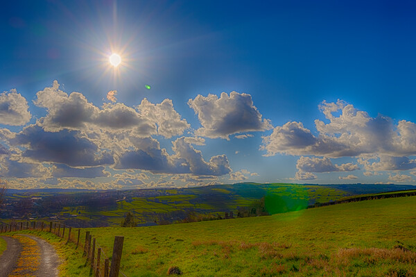Scenes of Yorkshire - Sunny Hillside Picture Board by Glen Allen