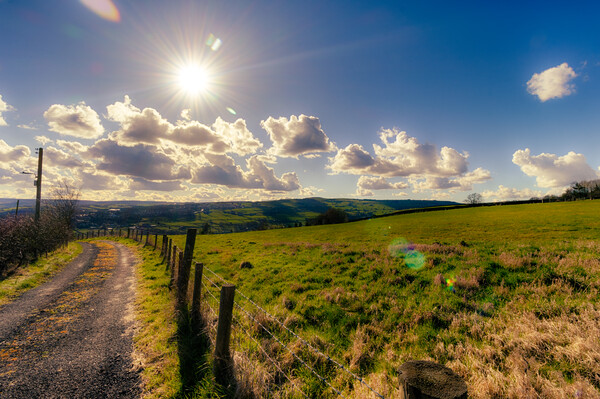 Scenes of Yorkshire - Sunny Hills Picture Board by Glen Allen
