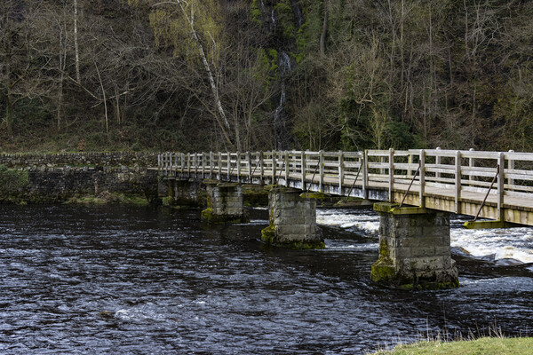 Footbridge Over the River Wharfe Picture Board by Glen Allen