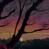 Buy canvas prints of Forest Sun Set 02  by Glen Allen