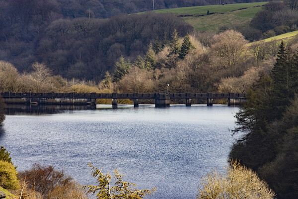 Baiting's Reservoir Viewed from the western Bridge Picture Board by Glen Allen