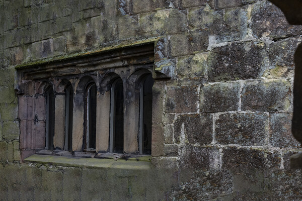 Skipton Castle  Medieval Windows Picture Board by Glen Allen