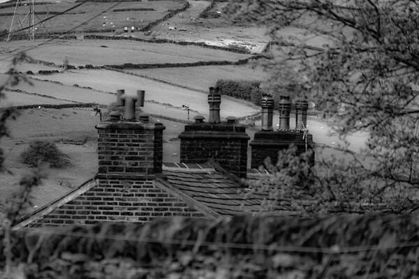 Scenes of Yorkshire - Rooftops Picture Board by Glen Allen