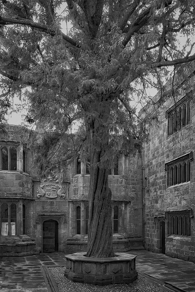 Skipton Castle Courtyard  Picture Board by Glen Allen