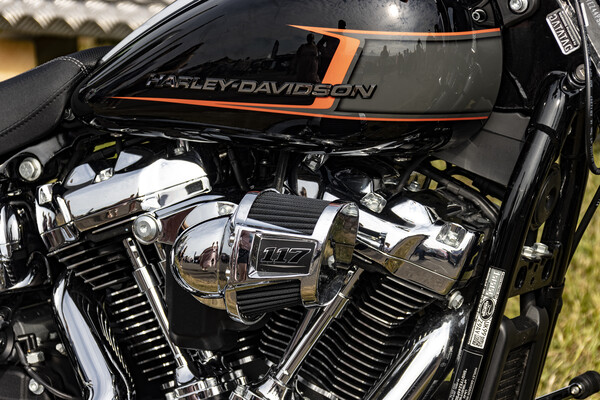 Harley Davidson 117 Picture Board by Glen Allen