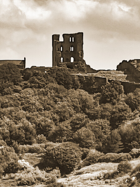 Scarborough Castle - Sepia Picture Board by Glen Allen