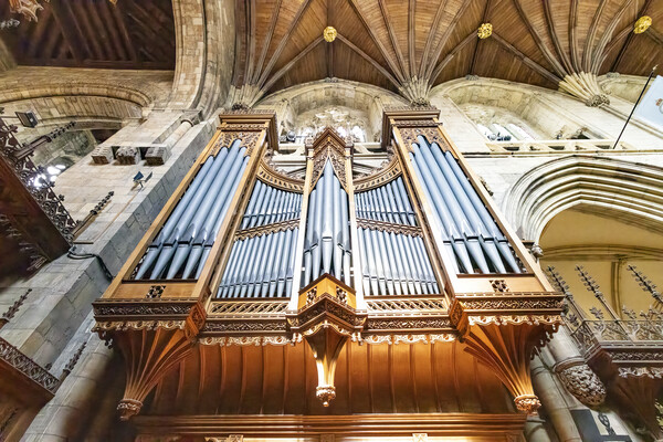 Selby Abbey Organ pipes Picture Board by Glen Allen