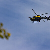 Buy canvas prints of Police Helicopter II by Glen Allen