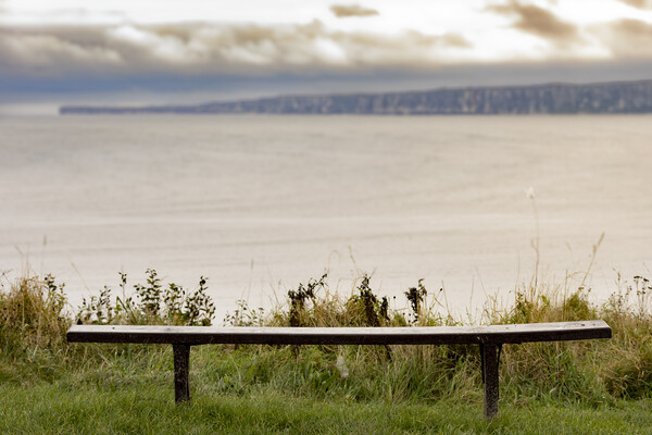 A bench view over Filey Bay Picture Board by Glen Allen