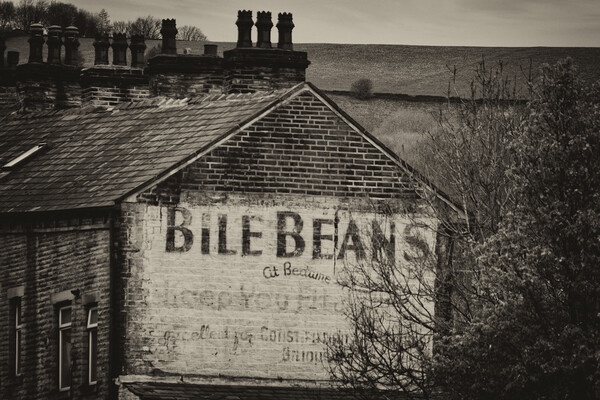 Bile Beans - Mono Picture Board by Glen Allen