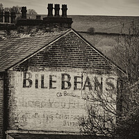 Buy canvas prints of Bile Beans - Mono by Glen Allen