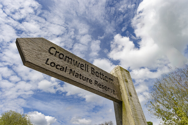 Cromwell Bottom Local Nature Reserve Picture Board by Glen Allen
