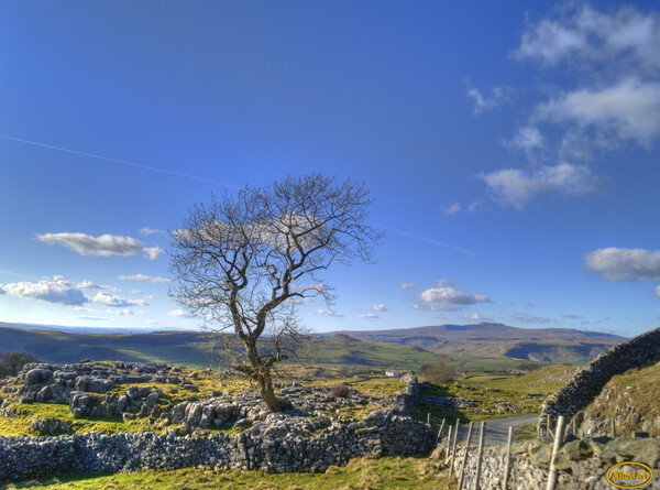 Yorkshire Dales - Archive  Picture Board by Glen Allen