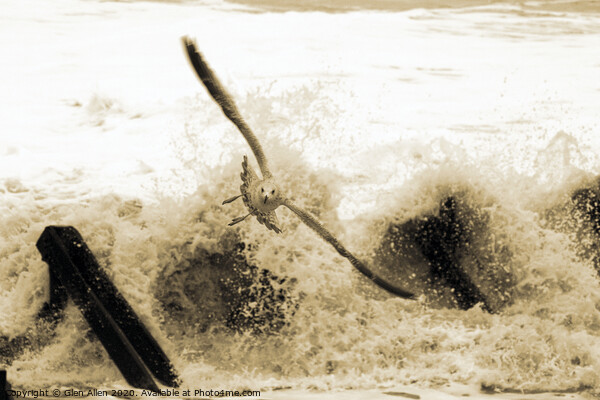 Escape the Surf Picture Board by Glen Allen