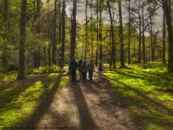 A walk in the woods Picture Board by Glen Allen