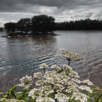 Buy canvas prints of Keighley Tarn by Glen Allen