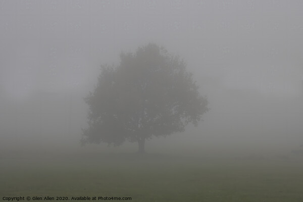 Misty Tree Picture Board by Glen Allen