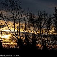 Buy canvas prints of Winter Sunrise - Panoramic by Glen Allen
