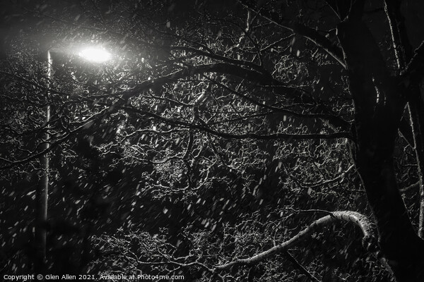 Urban Tree in a snowstorm  Picture Board by Glen Allen