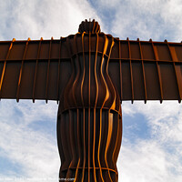 Buy canvas prints of Angel of the North Gateshead  by Glen Allen