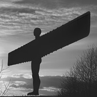 Buy canvas prints of Angel of the North Mono by Glen Allen