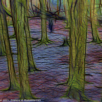 Buy canvas prints of Graphic Forest by Glen Allen