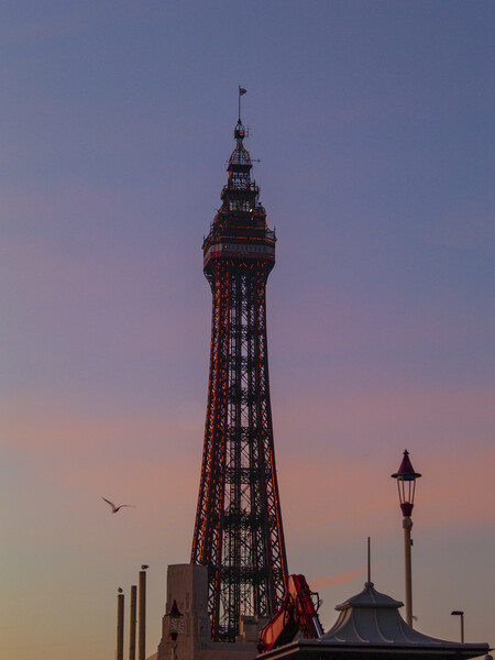 Blackpool Tower - Sunset Picture Board by Glen Allen