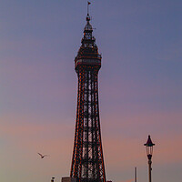 Buy canvas prints of Blackpool Tower - Sunset by Glen Allen