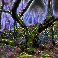 Buy canvas prints of Eerie Neon Woodland by Glen Allen