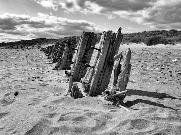 Old Sea Defences - Spurn Point Yorkshire  Picture Board by Glen Allen