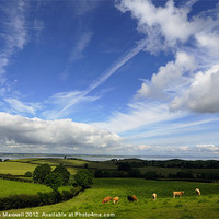 Buy canvas prints of The Rolling Hills of County Down by Stephen Maxwell