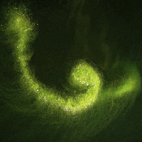 Buy canvas prints of Green Pond Algae by Stephen Maxwell