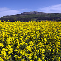 Buy canvas prints of Binevenagh Mountain by Stephen Maxwell