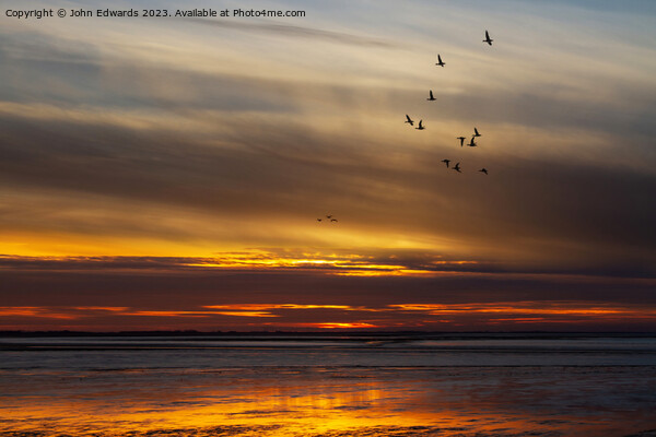 Pink-footed Geese Migration at Norfolk Sunset Picture Board by John Edwards