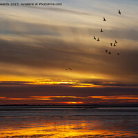 Buy canvas prints of Pink-footed Geese Migration at Norfolk Sunset by John Edwards