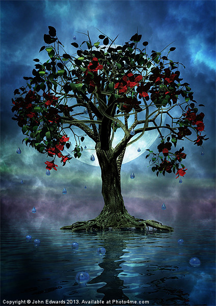 The Tree that Wept a Lake of Tears Picture Board by John Edwards